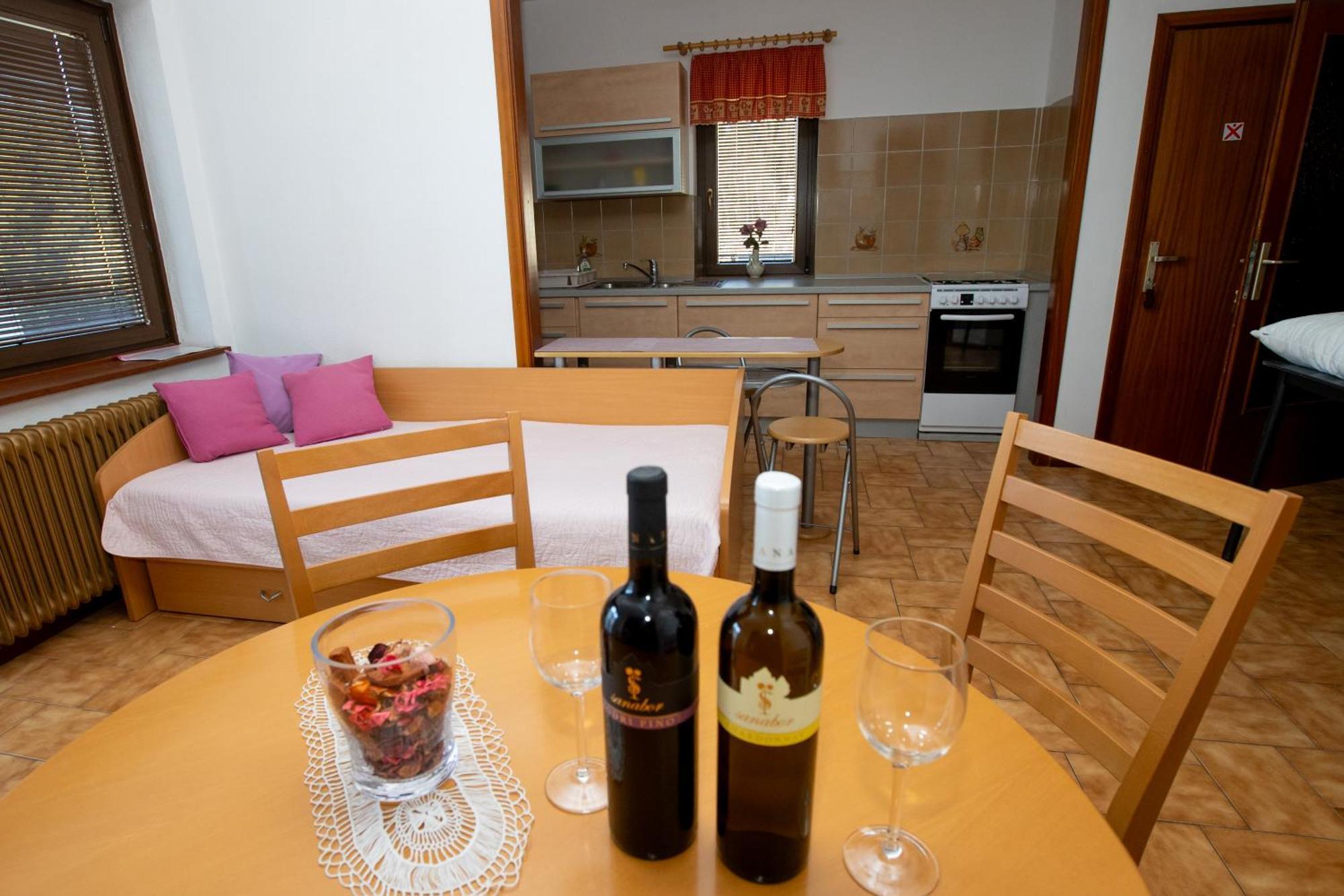 Guesthouse Sanabor Postojna Buitenkant foto